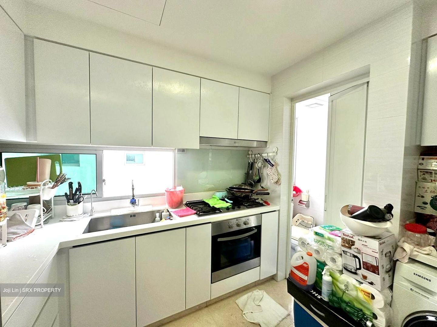 Eight Riversuites (D12), Condominium #452108161